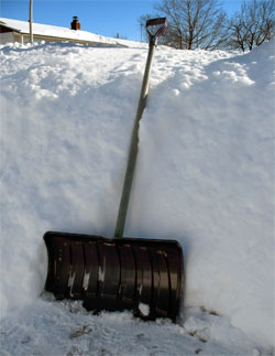 a snow shovel is basic equipment during a canadian winter