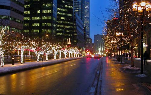 christmas lights on the road