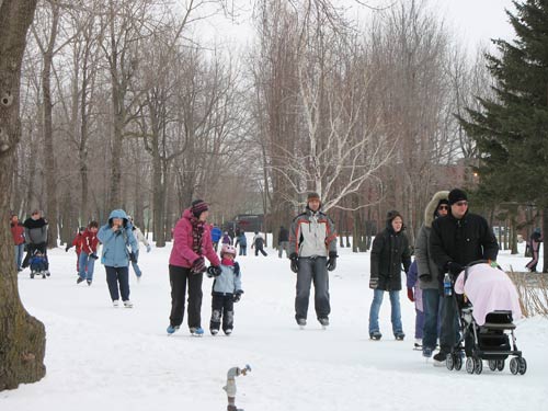 the city floods the walking trails of a local park and transforms them into one giant ice rink