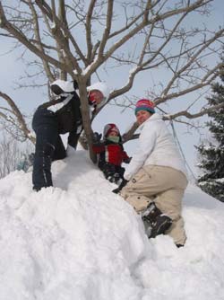 tree sliding hill